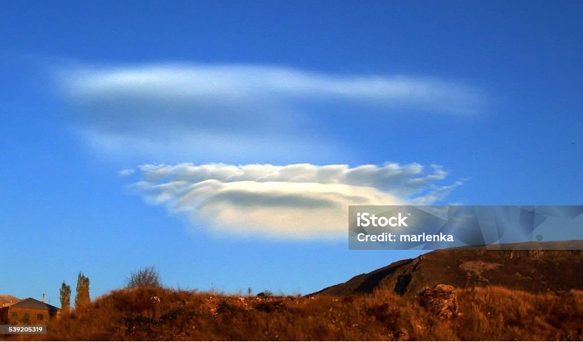 微小但美好的片刻