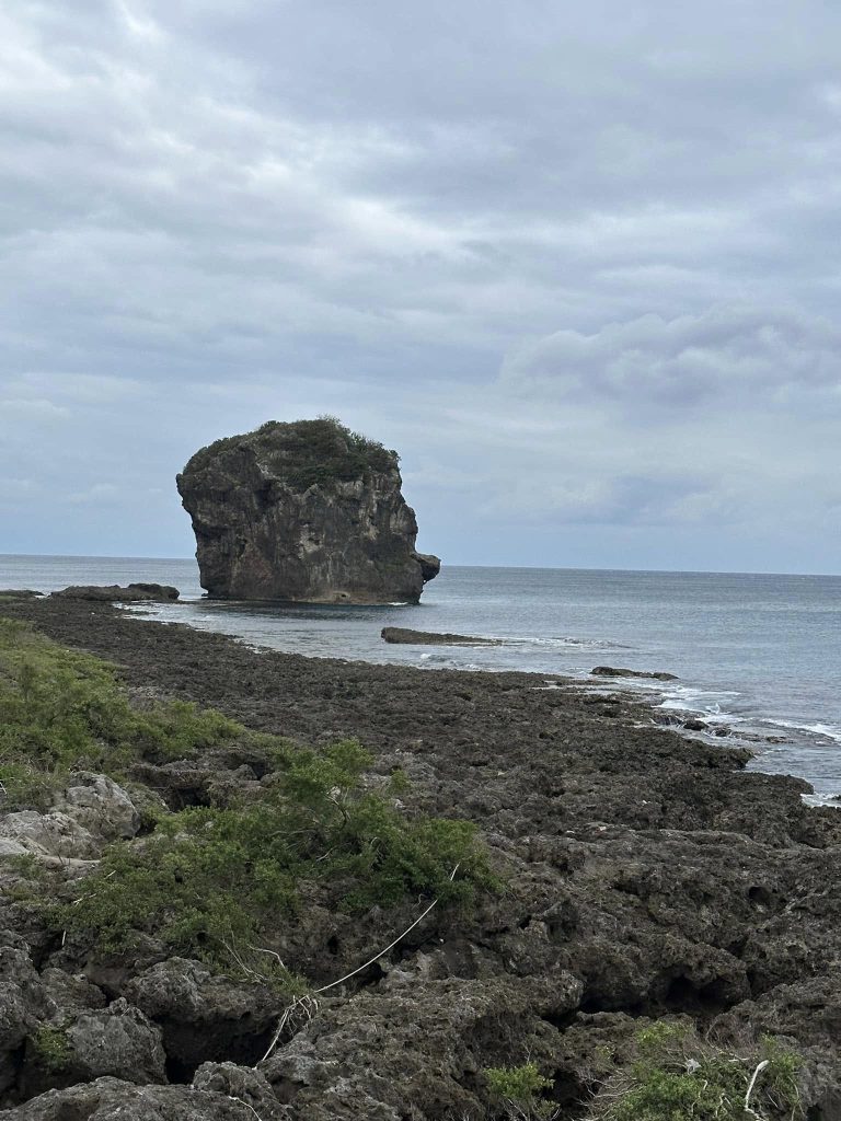 每次從海邊回來後,我會記下這一天的感受,以及對生活的感恩之情。