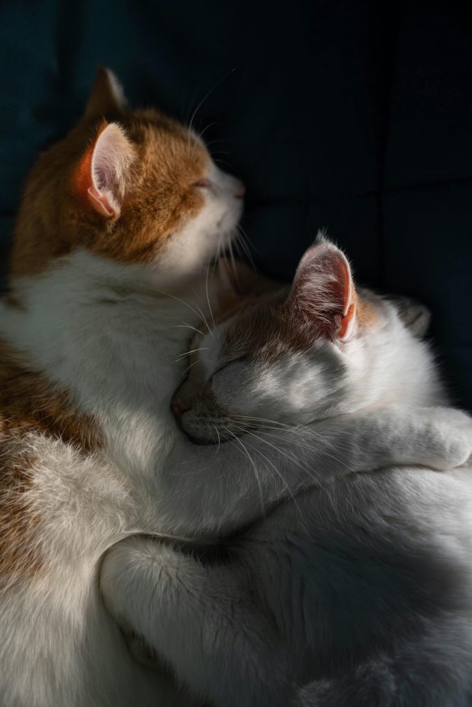 讓痛苦被釋放和涵融,讓困難的處境被改善