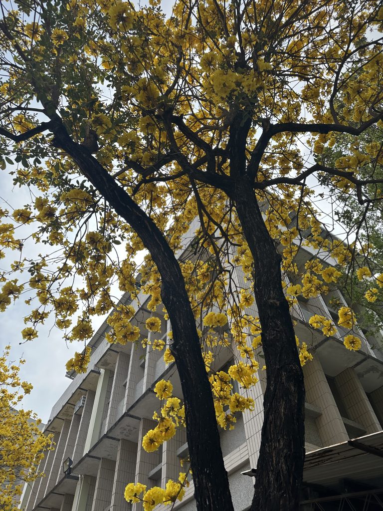 從春天的意象談生命歷程