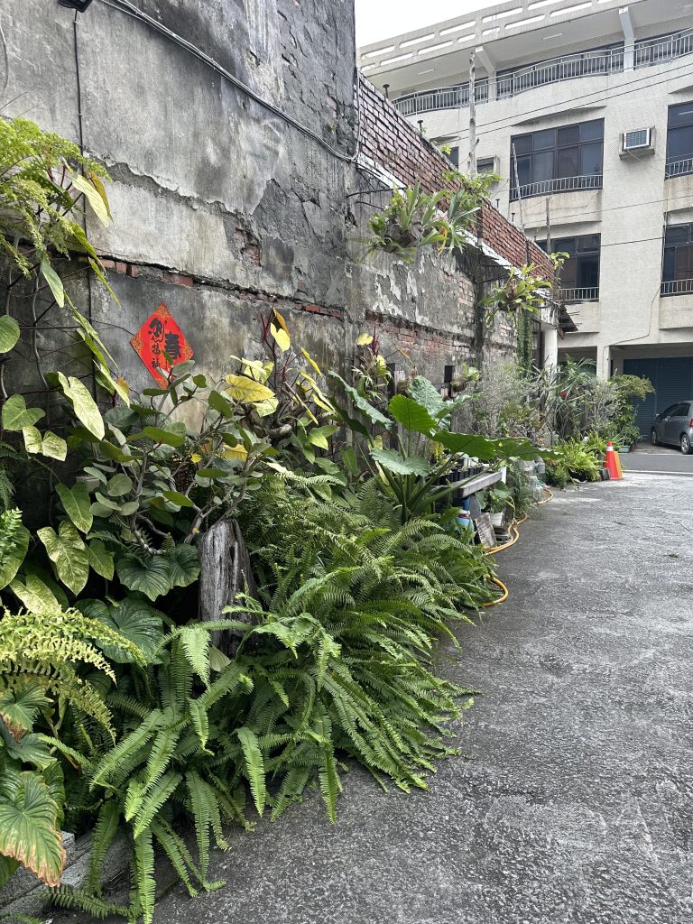自然對心理的療癒作用