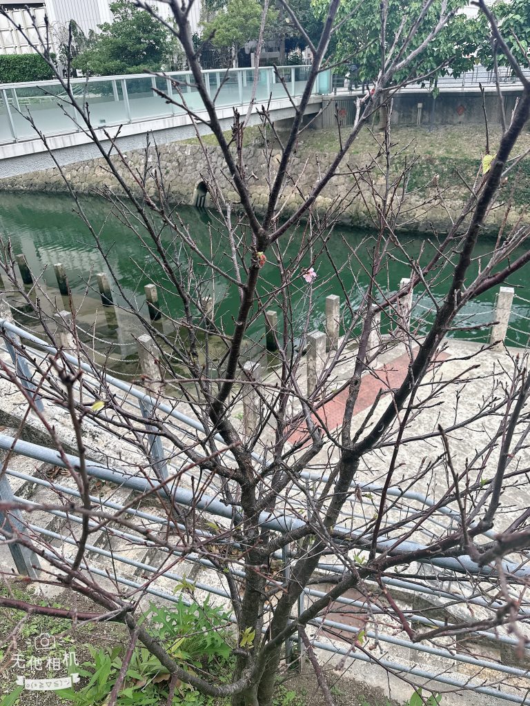 不預設，才能真正看見
