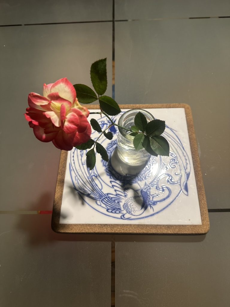 獨自欣賞,也是一種愛
