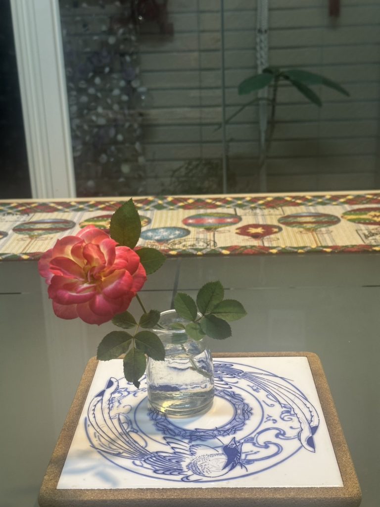 短暫的存在,不代表沒有價值